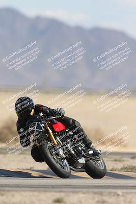 media/Oct-13-2025-Moto Forza (Mon) [[a66d839500]]/3-B Group/Session 4 Turn 4 Tree of Life/